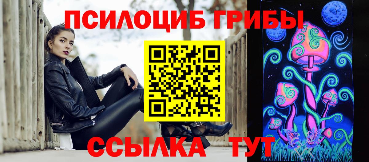 Псилоцибиновые грибы Psilocybe Волгоград