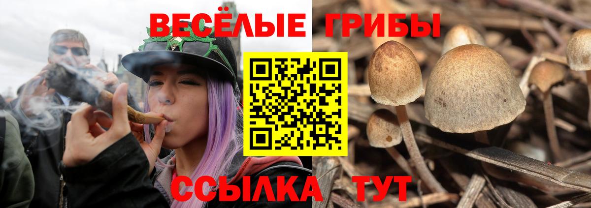 Волгоград  Псилоцибиновые грибы ЛСД  Вход с VPN  Галлюциногенные грибы мухоморы 